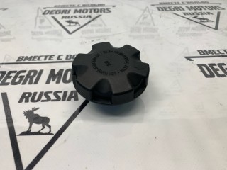 Крышка расширительного бачка, ориг. номер 17117639021, BMW 525i E61 2007-2010