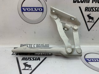 Петля капота, ориг. номер 41617120276, BMW 525i E61 2007-2010