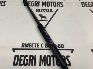 Амортизатор багажника, ориг. номер 51248254281, BMW 320i E46 1997-2003