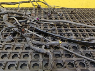 проводка двигателя, ориг. номер 3B1971072FE, Volkswagen Passat B5 [рестайлинг] 2000-2005