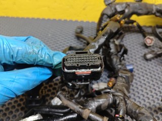 проводка двигателя, ориг. номер BS28259000, Yamaha MT-09