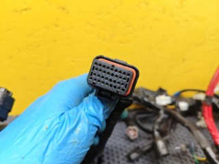 проводка двигателя, ориг. номер BS28259000, Yamaha MT-09