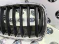 7171396, 51137171396, 51137157688, 7157688 решетка радиатора правая BMW X5 E70 2008г. - фото №3