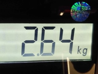 Интеркулер, ориг. номер A1635000700, Mercedes ML W163 2001-2005