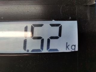 Подушка крепления двигателя, ориг. номер C2Z4994, Jaguar XF 2007-2011