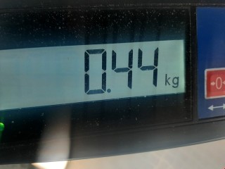 Форсунка, ориг. номер 0445110230, 8200389369, Renault Megane 2002-2006