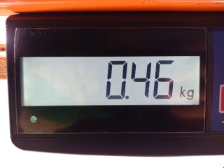 Сигнал (клаксон), ориг. номер 04685943AC, Chrysler Grand Voyager 2000-2004