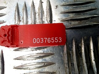 Фонарь крышки багажника правый, ориг. номер A2108206264, Mercedes E W210 1999-2002