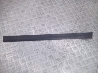 Накладка на порог BMW X5 E53 1999-2003