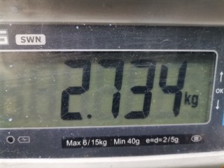 Подушка безопасности пассажира, ориг. номер 1030286, Ford Mondeo 1996-2000