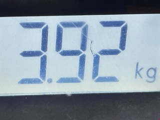 Подушка безопасности пассажира, ориг. номер LC6257K70G, Mazda MPV 1999-2003