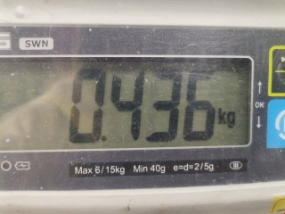 Переключатель подрулевой (стрекоза), ориг. номер BV6T13N064AG, 1759190, Ford Focus 2011-2015