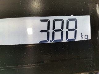 Суппорт передний левый, ориг. номер A1684200083, Mercedes A W168 2001-2004