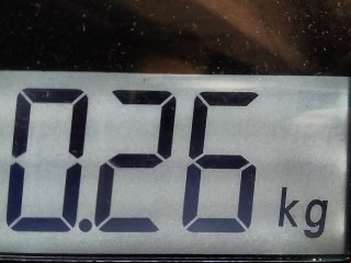 Ус под фонарь левый, ориг. номер 7701472599, 7700354300, Renault Scenic RX4 1999-2003