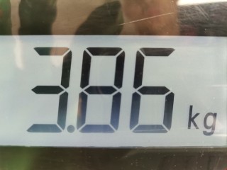 Обшивка двери передней левой (дверная карта), ориг. номер 1BG711DBAD, Chrysler 300C 2004-2011
