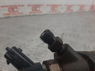 Форсунка, ориг. номер 0445110239, 1980H2, Citroen C4 2004-2014