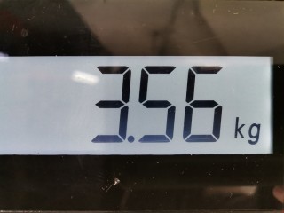 Стеклоподъемник передний левый, ориг. номер A1697203179, 993582106, Mercedes B W245 2005-2008