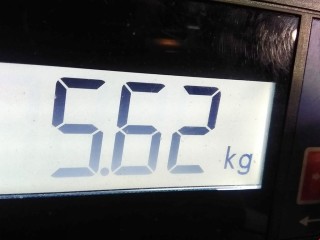 ТНВД, ориг. номер 0445010102, 1920HT, Peugeot 207 2006-2009