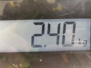 Бленда, ориг. номер 7701038277, 22260002, Renault Laguna 1993-1998
