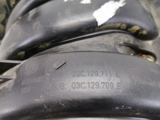 Коллектор впускной, ориг. номер 03C129711E, Volkswagen Golf 1997-2006