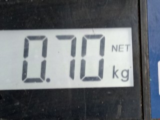 Насос топливный, ориг. номер 700661050, 98AP9H307AL, Ford Focus 1998-2001