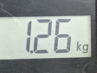 Защита арок задняя левая (подкрылок), ориг. номер A2116902330, Mercedes E W211 2002-2006