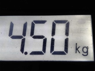 Поддон, ориг. номер 55557091, Opel Vectra 2002-2005