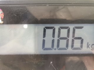 Моторчик заднего стеклоочистителя (дворника), ориг. номер 0390201847, 287100007R, Renault Megane 2008-2014