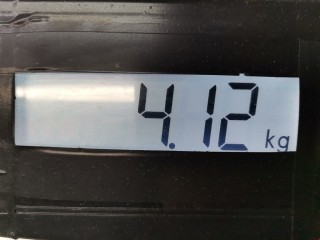 Диск тормозной передний, ориг. номер 402062984R, Renault Megane 1999-2003