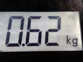 Трос кулисы КПП, ориг. номер BB5Z7E395C, BB5P7E395AD, Ford Explorer 2010-2015