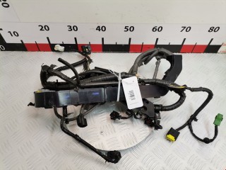 Проводка, ориг. номер 1677468, Ford Fiesta 2008-2013