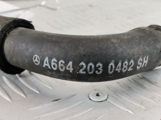 Патрубок радиатора, ориг. номер 6642030482, A6642030482, SsangYong Rexton 2003-2008