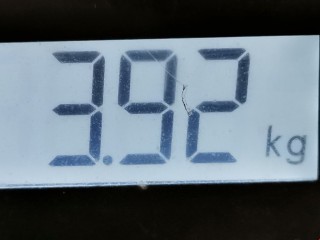 Подушка безопасности пассажира, ориг. номер LC6257K70G, Mazda MPV 1999-2003