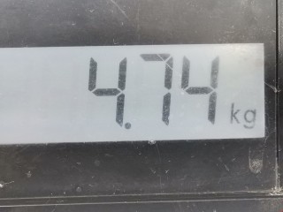 Пружина задняя, ориг. номер 3B0511115P, Volkswagen Passat 1996-2001