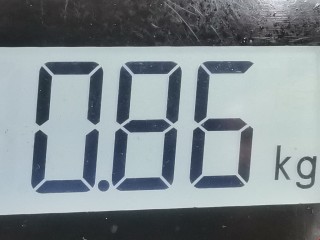 Блок управления двигателем, ориг. номер 30864275, S113727100G, Volvo S40 1995-2000