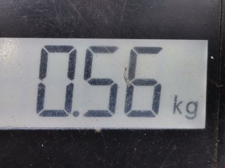 Петля двери, ориг. номер 4103342, XS4AA26801, Ford Focus 1998-2001