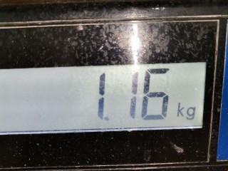 Кронштейн двигателя, ориг. номер 183934, Citroen Xsara 1997-2000