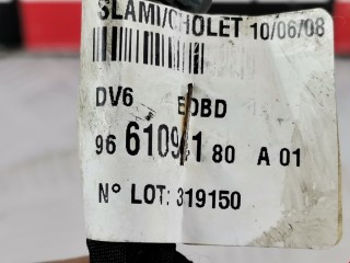 Проводка, ориг. номер 1453841, Ford Focus 2004-2008