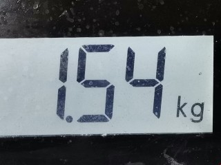 Кронштейн двигателя, Honda Civic 2005-2008