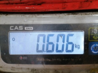 Козырек солнцезащитный, ориг. номер 7L6857551AQ, Volkswagen Touareg 2002-2007