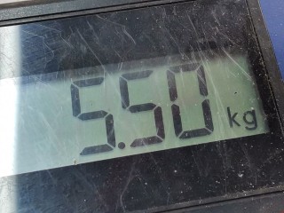 Рычаг передний правый, ориг. номер A6393300910, A639330091C, Mercedes Vito W639 2003-2010