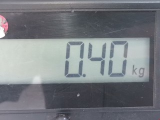 Ручка наружная задняя левая, ориг. номер 24443948, Opel Astra 1994-2002