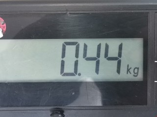 Стеклоподъемник задний левый, ориг. номер 90521871, Opel Astra 1994-2002