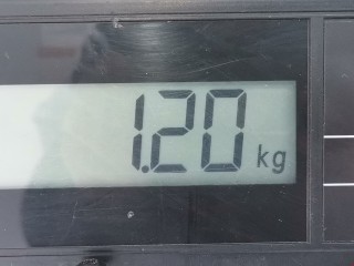 Стеклоподъемник электрический задний левый, ориг. номер A2117300346, Mercedes E W211 2002-2006