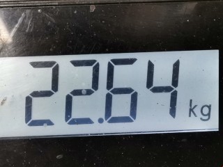Балка подвески передняя (подрамник), ориг. номер 20100FA002, Subaru Forester 1997-2000