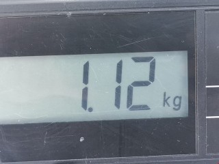 Стеклоподъемник электрический задний правый, ориг. номер 82700AV710, 116188, Nissan Primera 2001-2008