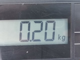 Ограничитель открывания двери передней, ориг. номер XS4AA23500BA, Ford Focus 1998-2001