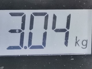 Суппорт передний левый, ориг. номер 1K0615123D, Audi A3 1996-2000