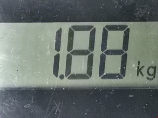 Амортизатор задний левый, ориг. номер 7701479086, 7701071361, Renault Scenic 1999-2003
