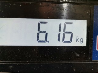 Коллектор впускной, ориг. номер 14010AE001, Nissan X-Trail 2000-2004